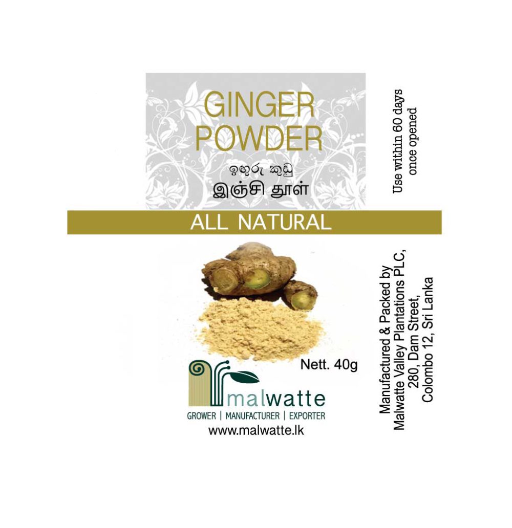 Ginger Powder - 40g