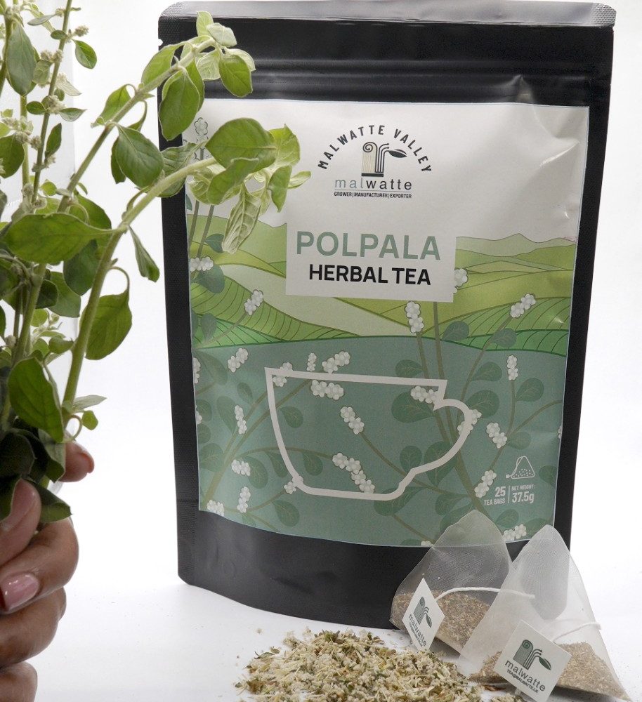 POLPALA
